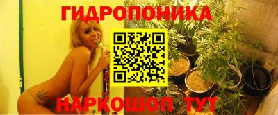 прущая мука Аргун