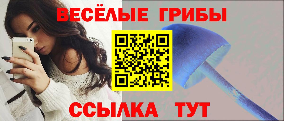 Белово  Псилоцибиновые грибы GOLDEN TEACHER  Вход с VPN 